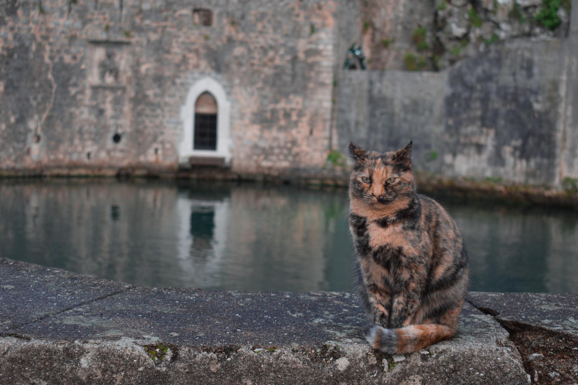 Montenegro Kotor Walking Tour